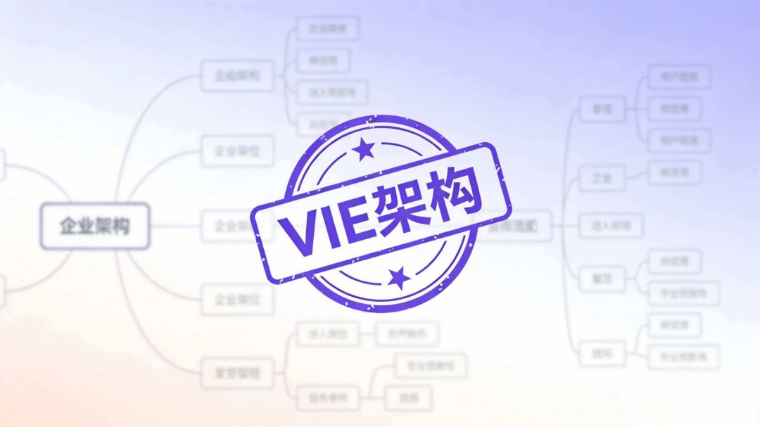 VIE 架构